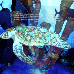 Captura de pantalla 2025-02-20 143258